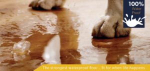 Read more about the article Lantai Vinyl Segriya dari Segriya Flooring